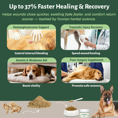 Arlistatmax Poudre Sanqi: dosage précis et économique pour chiens