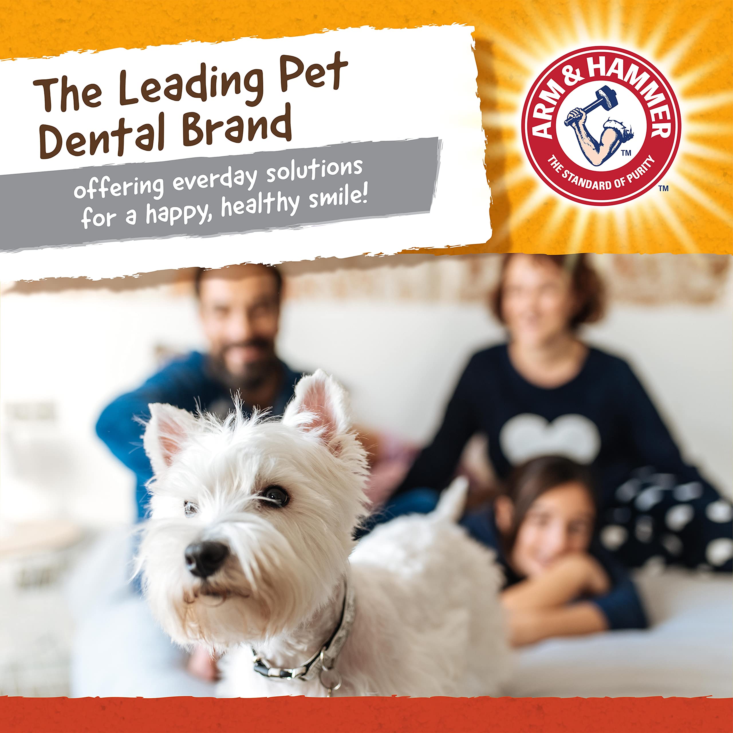 Parfait pour chiens actifs, récompense le jeu tout en favorisant une bouche fraîche.