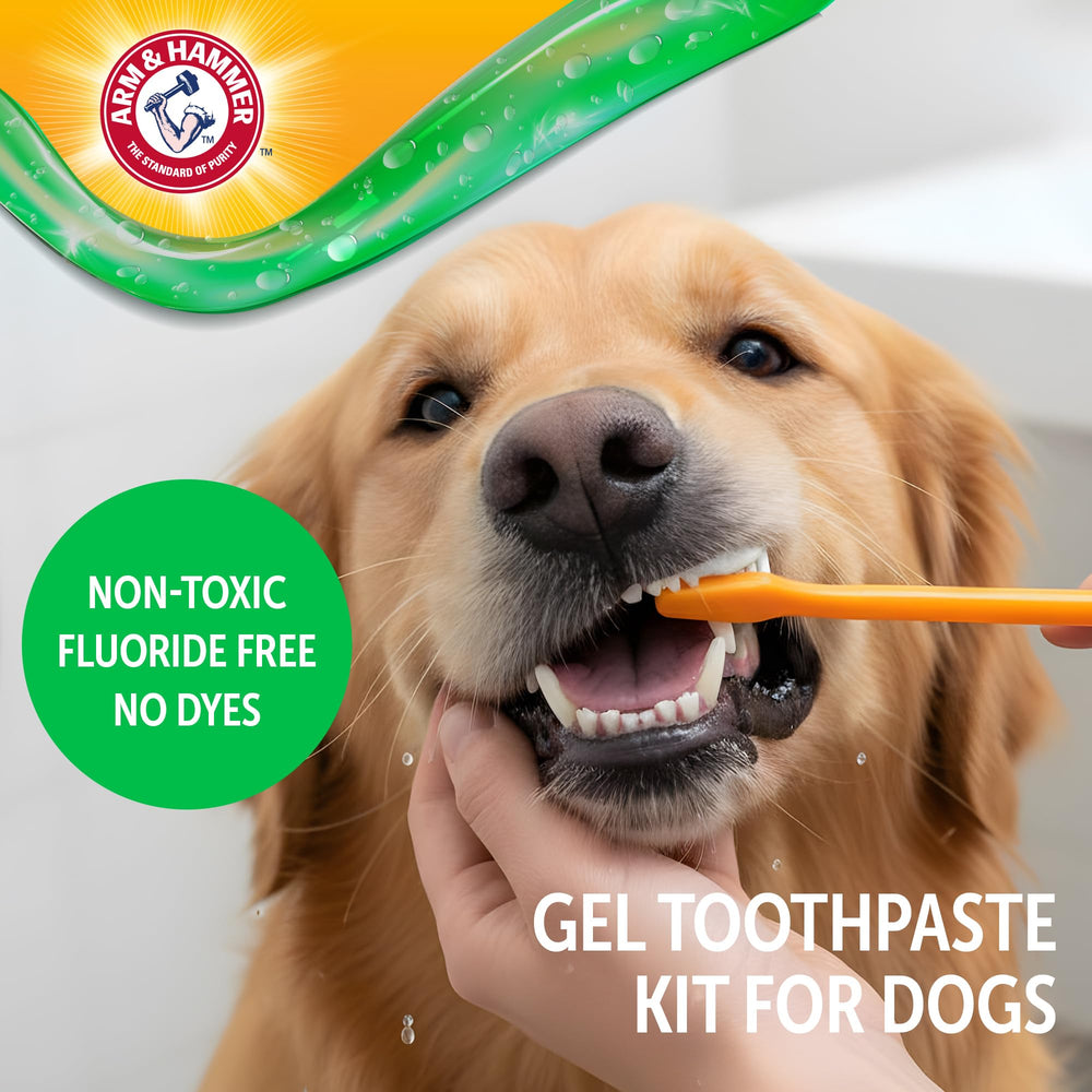 Brosse dentaire Arm & Hammer à double tête pour chien, pratique pour les premiers brossages.