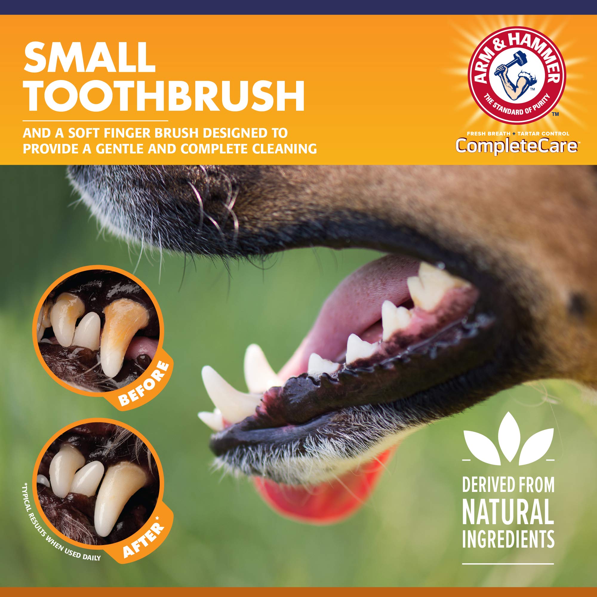 Brosse doigt Arm & Hammer en microfibre pour initiation douce au brossage.