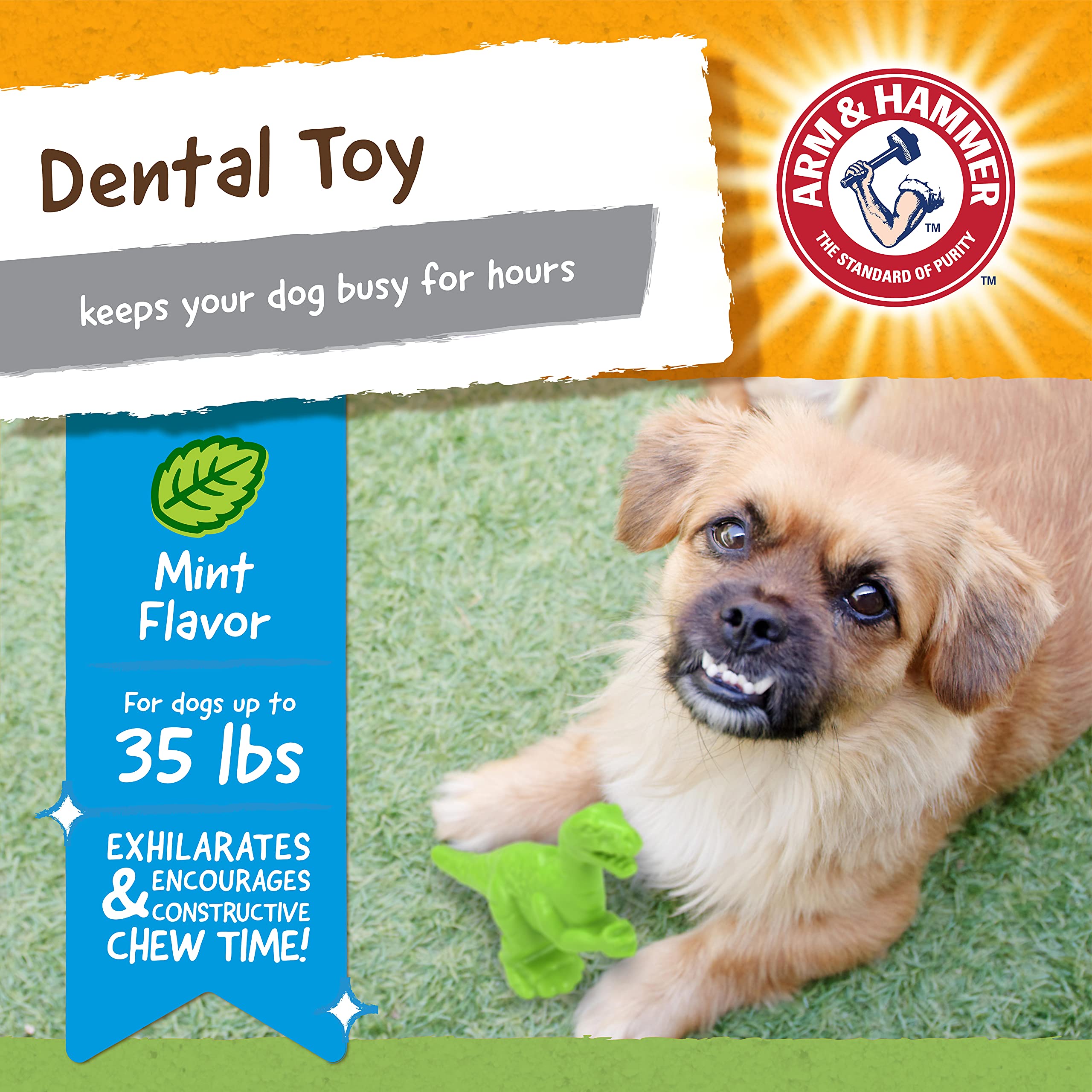 Forme dinosaure Arm et Hammer Denta-Saurus T-Rex qui occupe le chien lors des sessions de mastication