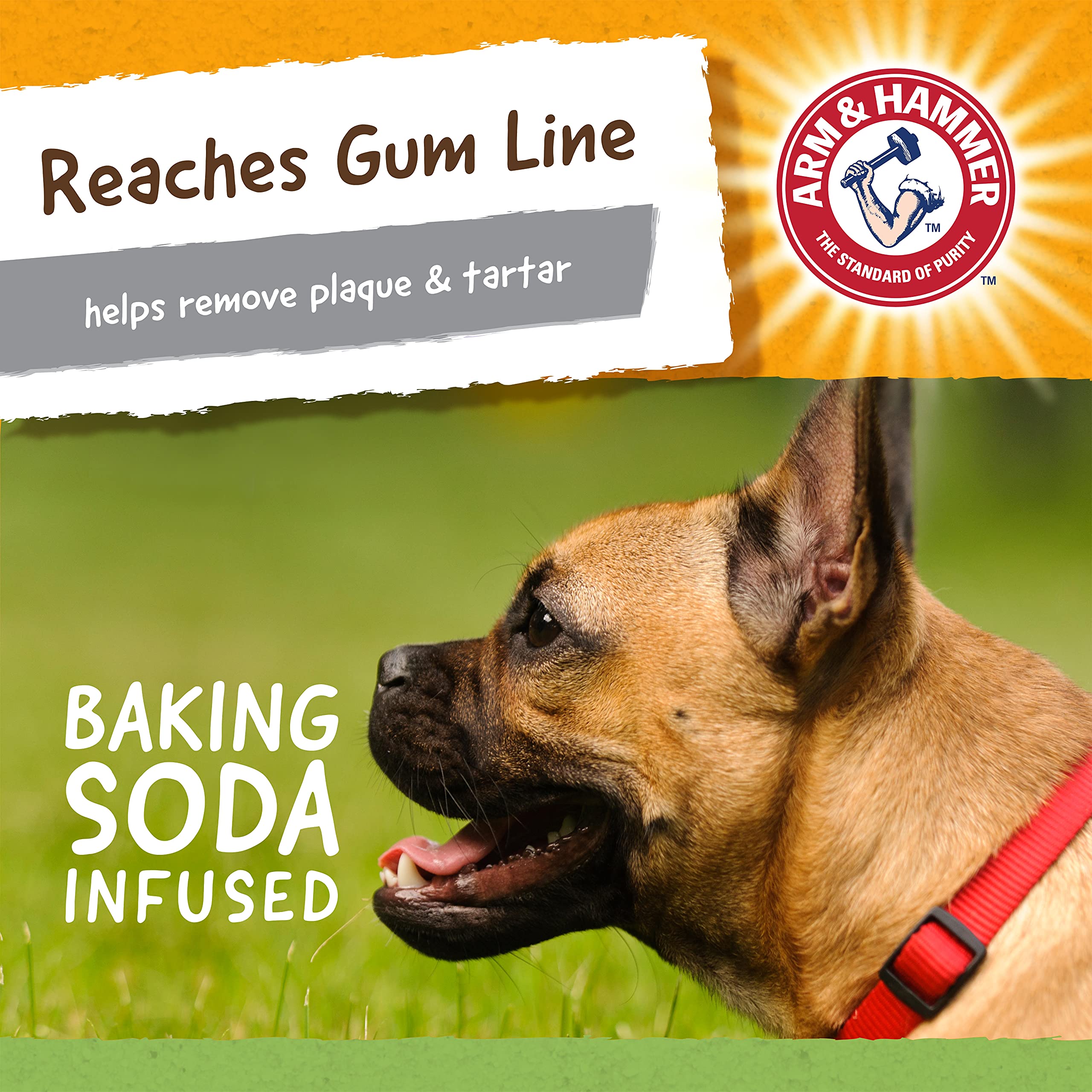 Infusion bicarbonate Arm et Hammer: formule non toxique offrant un nettoyage des dents plus sûr