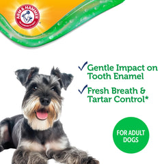 Haleine fraîche du chien grâce au gel dentaire Arm & Hammer.