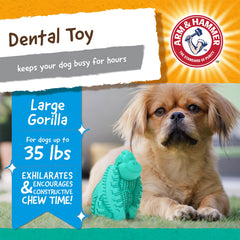 Arm & Hammer Gorille Treadz, infusion de bicarbonate pour rafraîchir l'haleine.