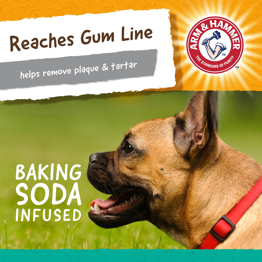 Arm & Hammer Gorille Treadz sans rembourrage pour jeu propre.