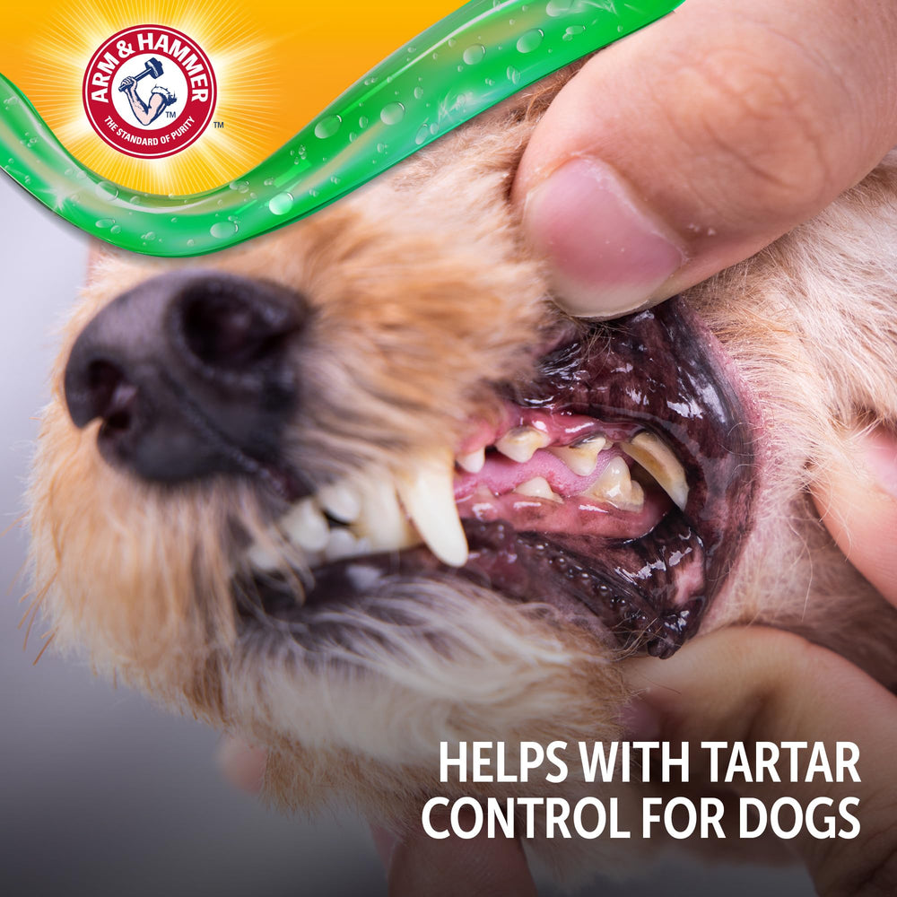 Gel sans fluor Arm & Hammer pour chien, sûr et doux lors du brossage.