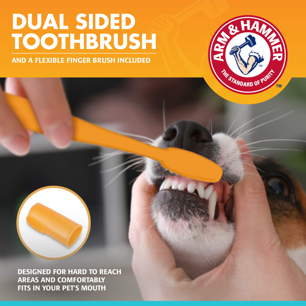 Accessoire doigt-brosse Arm & Hammer pour chiens démarrage en douceur