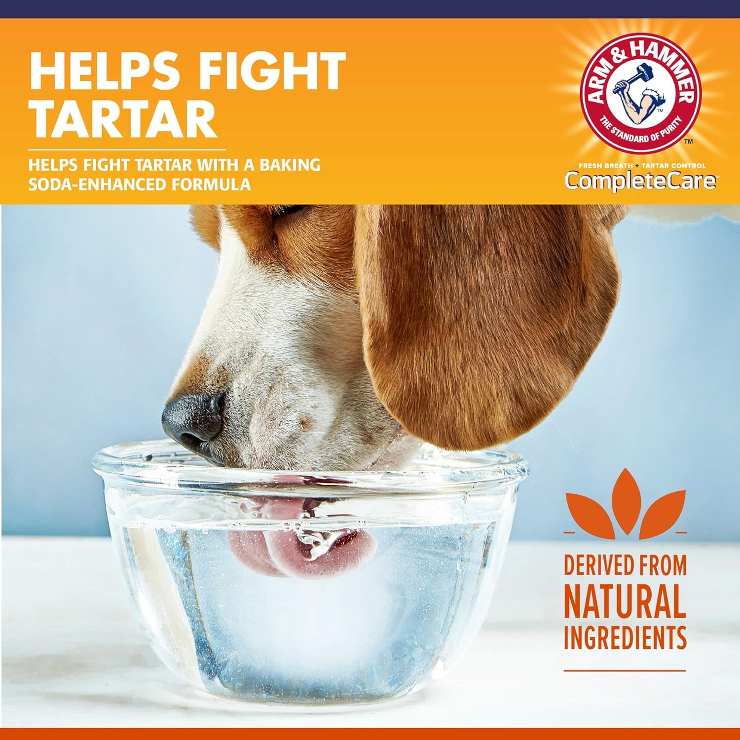 Arm & Hammer additif dentaire pour eau de chien, formule sans odeur pour une acceptation aisée.