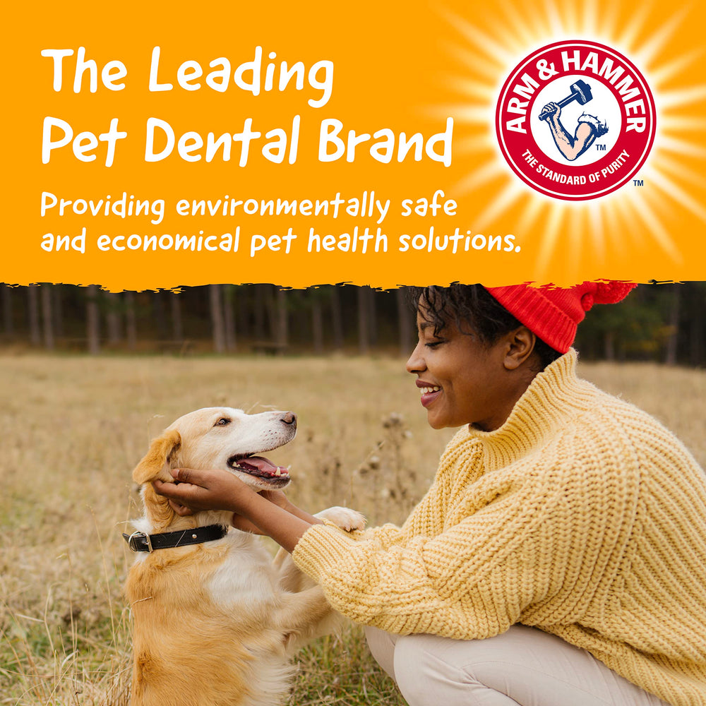 Arm & Hammer Barkies Branche bois bacon 8 po, alternative durable aux sticks.