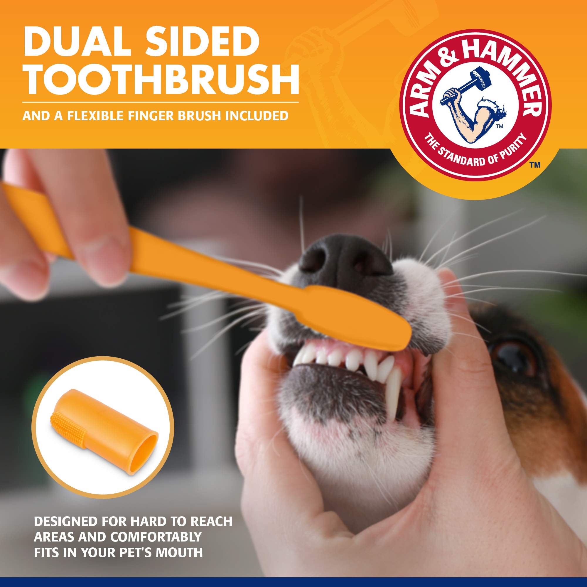 Brosse dentaire duale Arm & Hammer pour chiens.