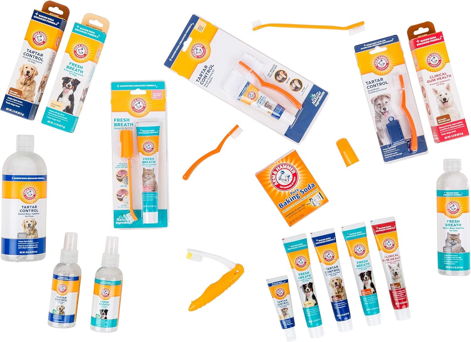 Arm & Hammer Clinique Soin Dentaire Chiens, format 16 oz idéal pour foyers multi-chiens