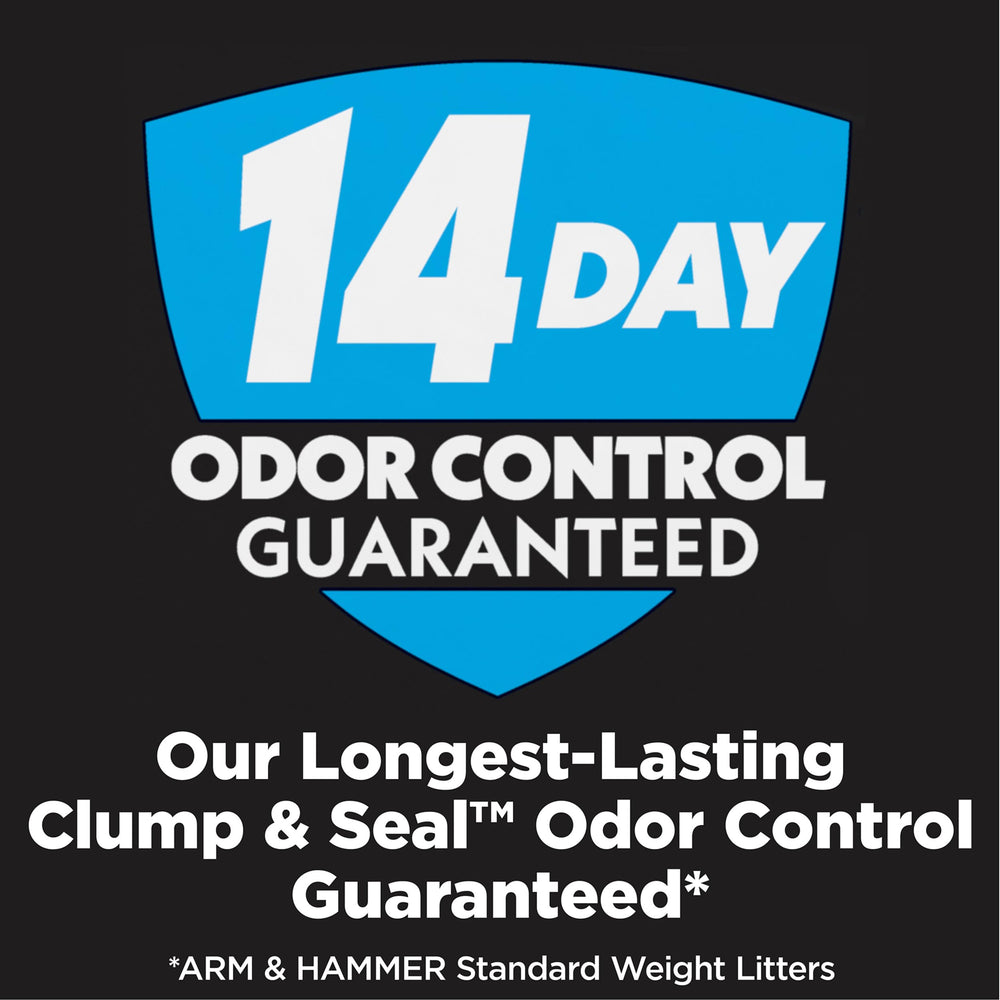 Arm & Hammer Cloud Control Platinum, litière sans poussière pendant le remplissage.