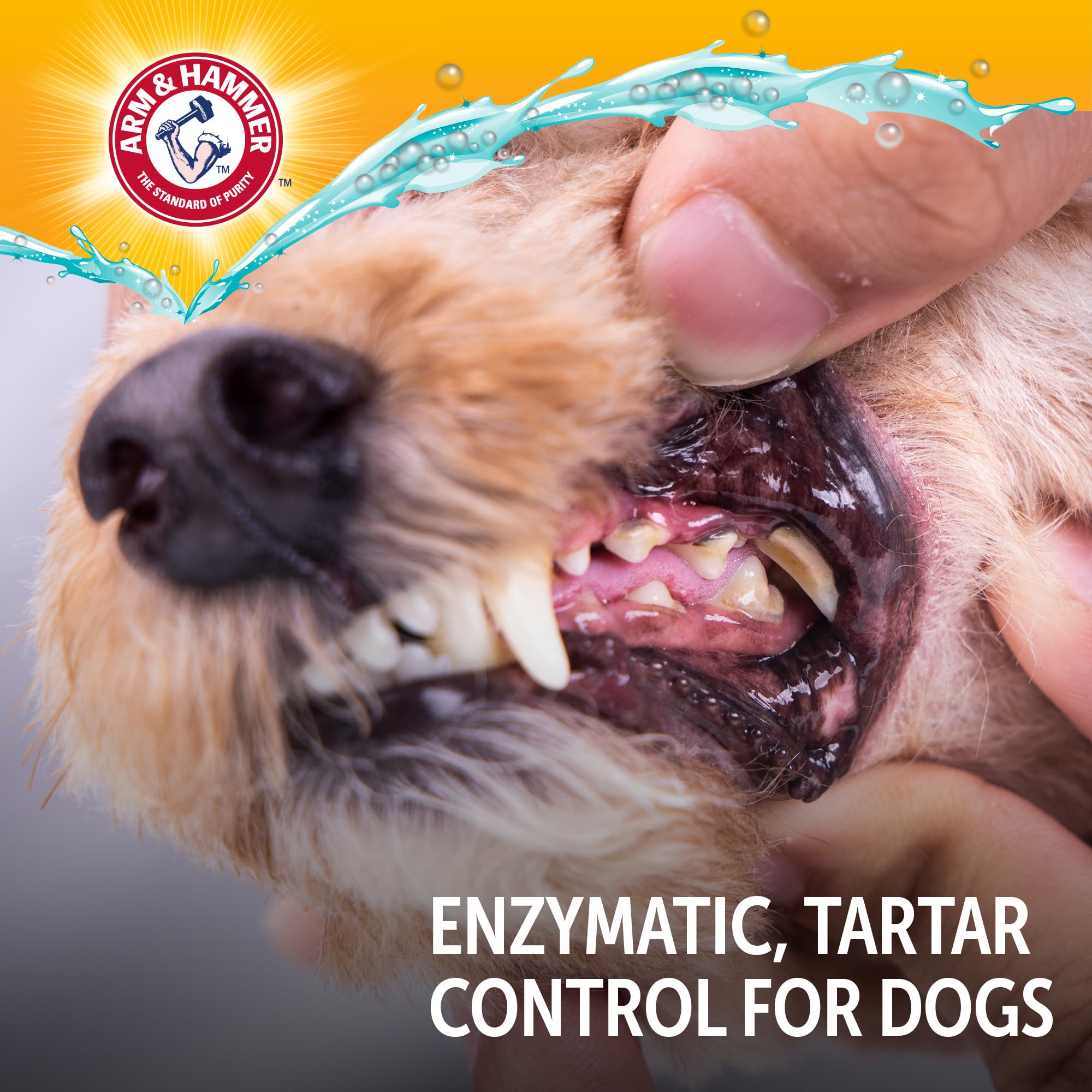 Arm & Hammer Complete Care pour chiens, utilisation quotidienne simple.