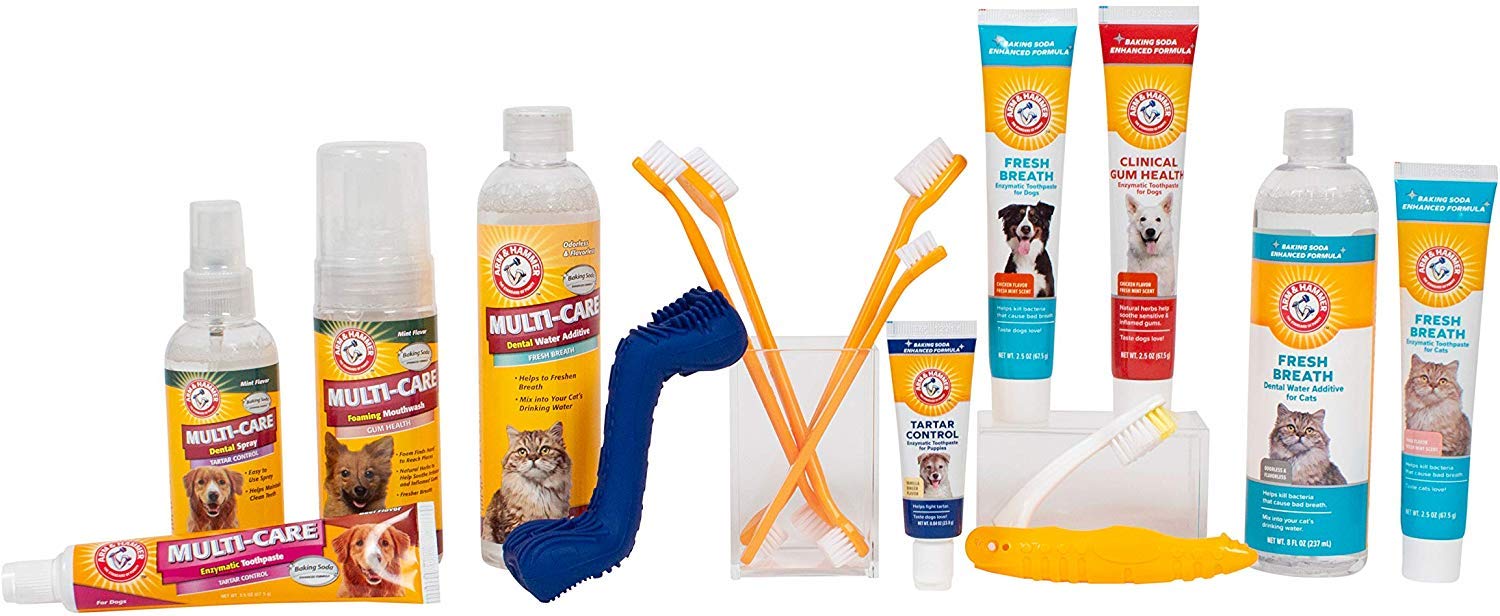 Arm & Hammer contrôle plaque et tartre pour chiens.