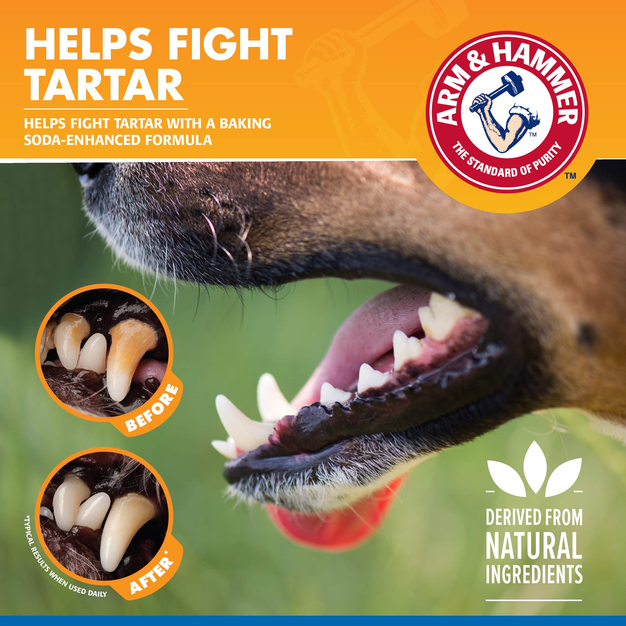Contrôle du tartre Arm & Hammer pour chien, sourire plus propre.