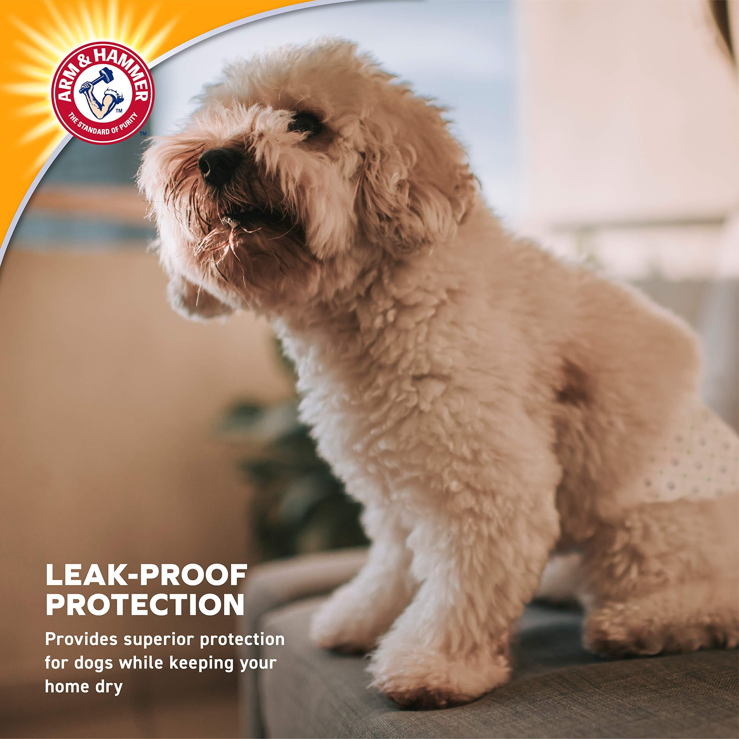 Arm & Hammer: cœur absorbant multicouche gardant le chien au sec.