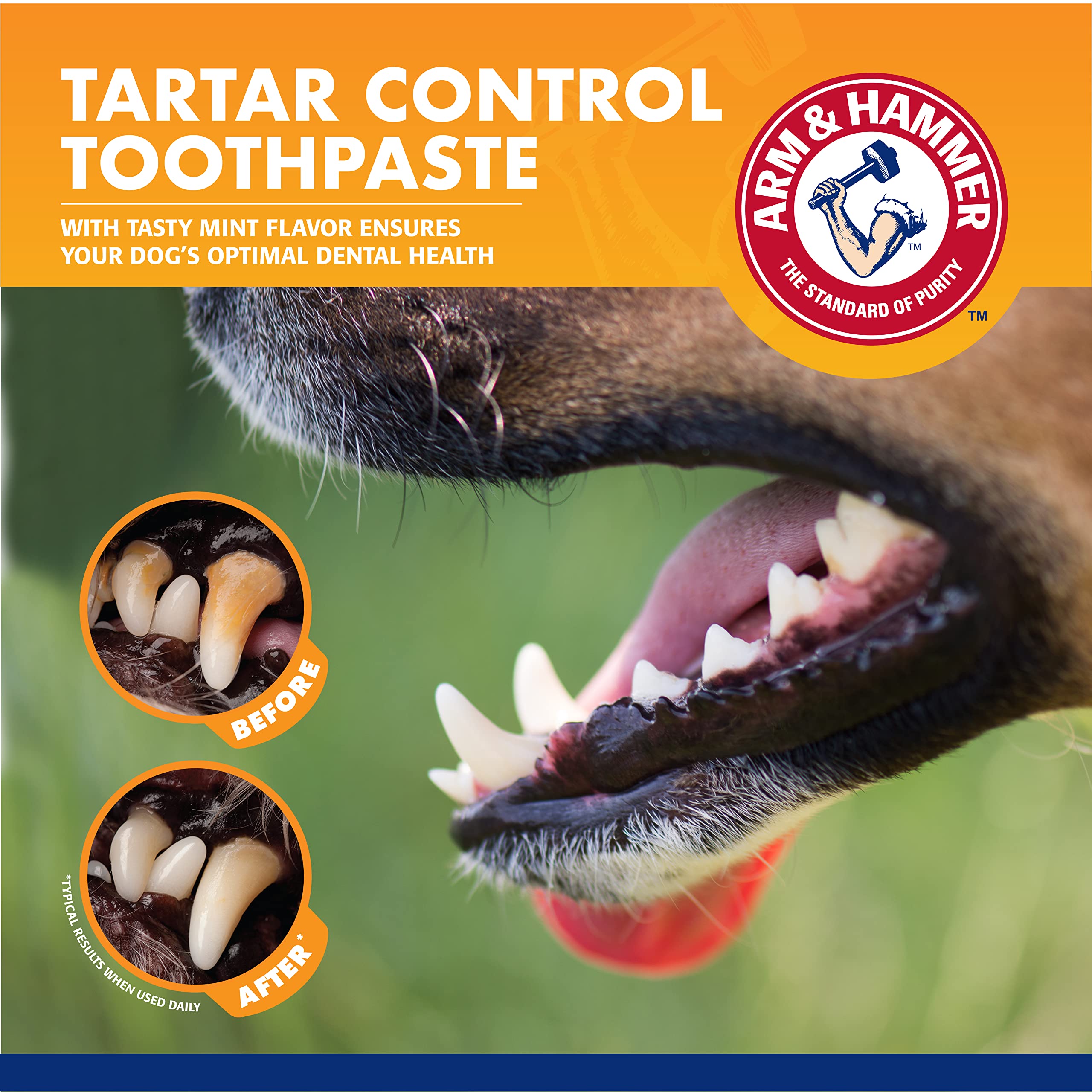 Dentifrice anti-tartre chien menthe Arm & Hammer.