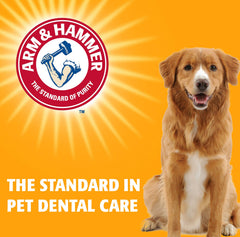 Arm & Hammer dentifrice chiens brosse-dents recommandée