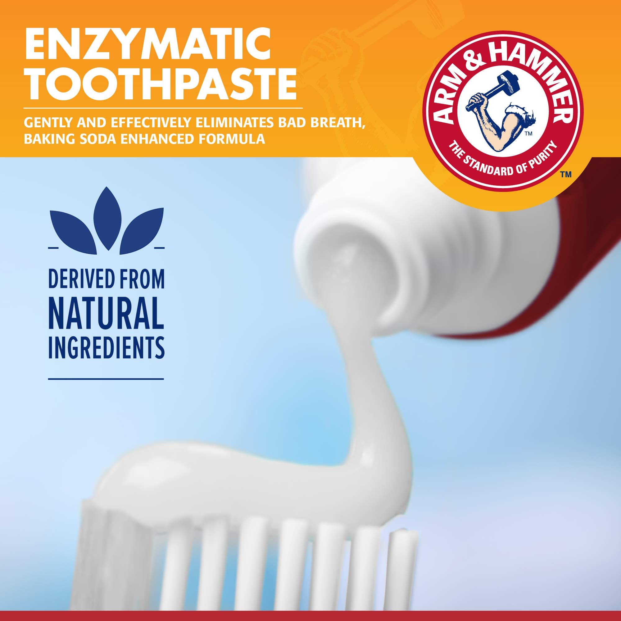Application sur le doigt avant le brossage des dents d'un chien.