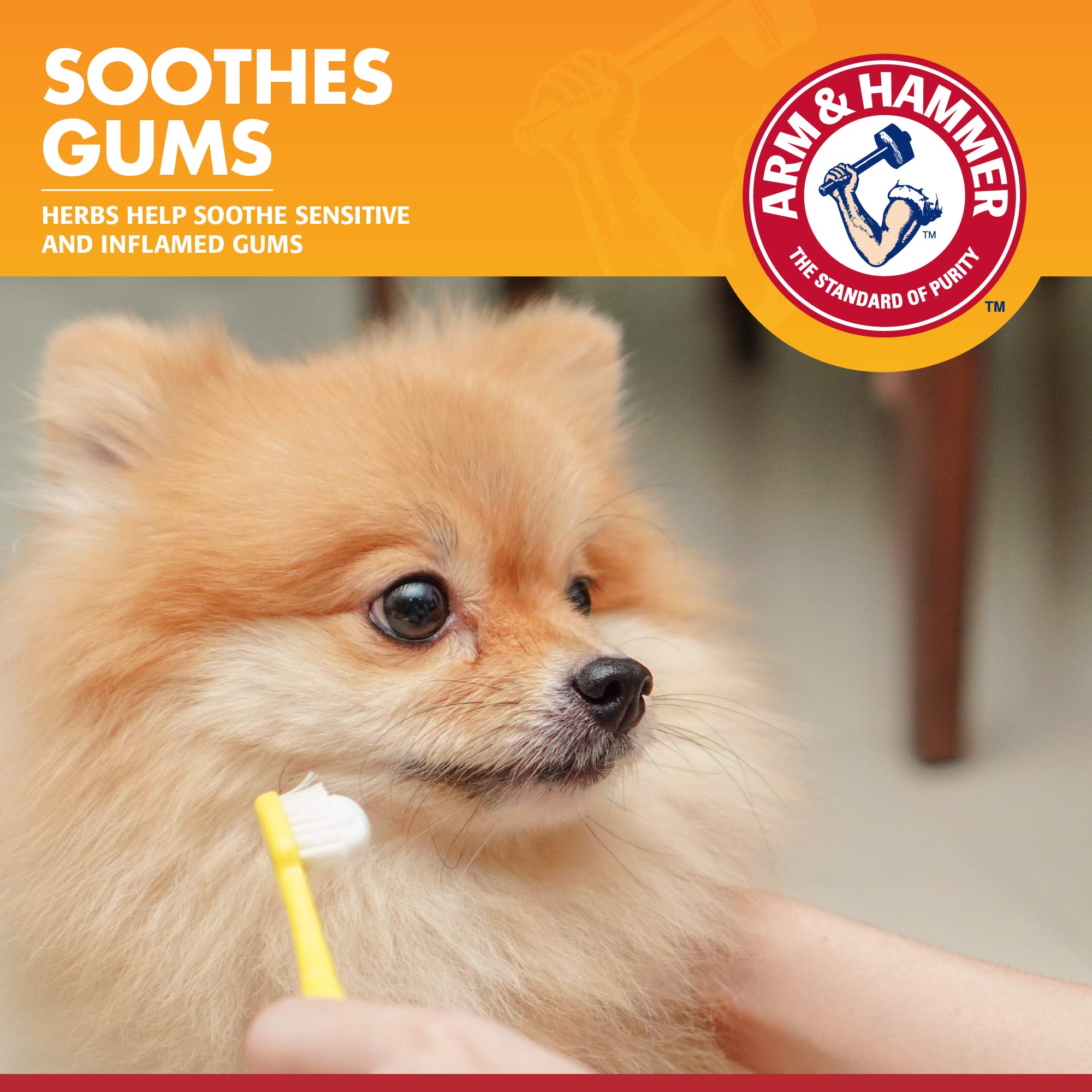 Chien souriant après le brossage, dents propres.