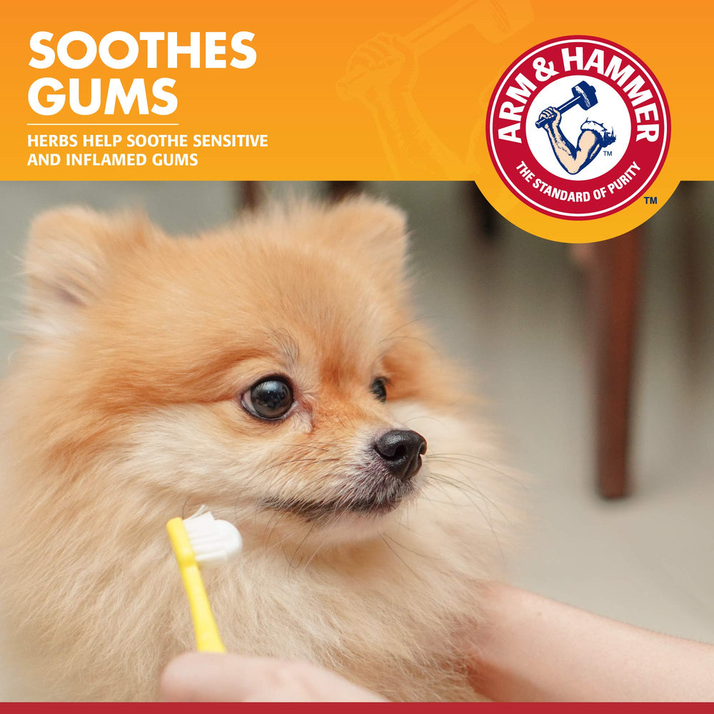 Chien souriant après le brossage, dents propres.