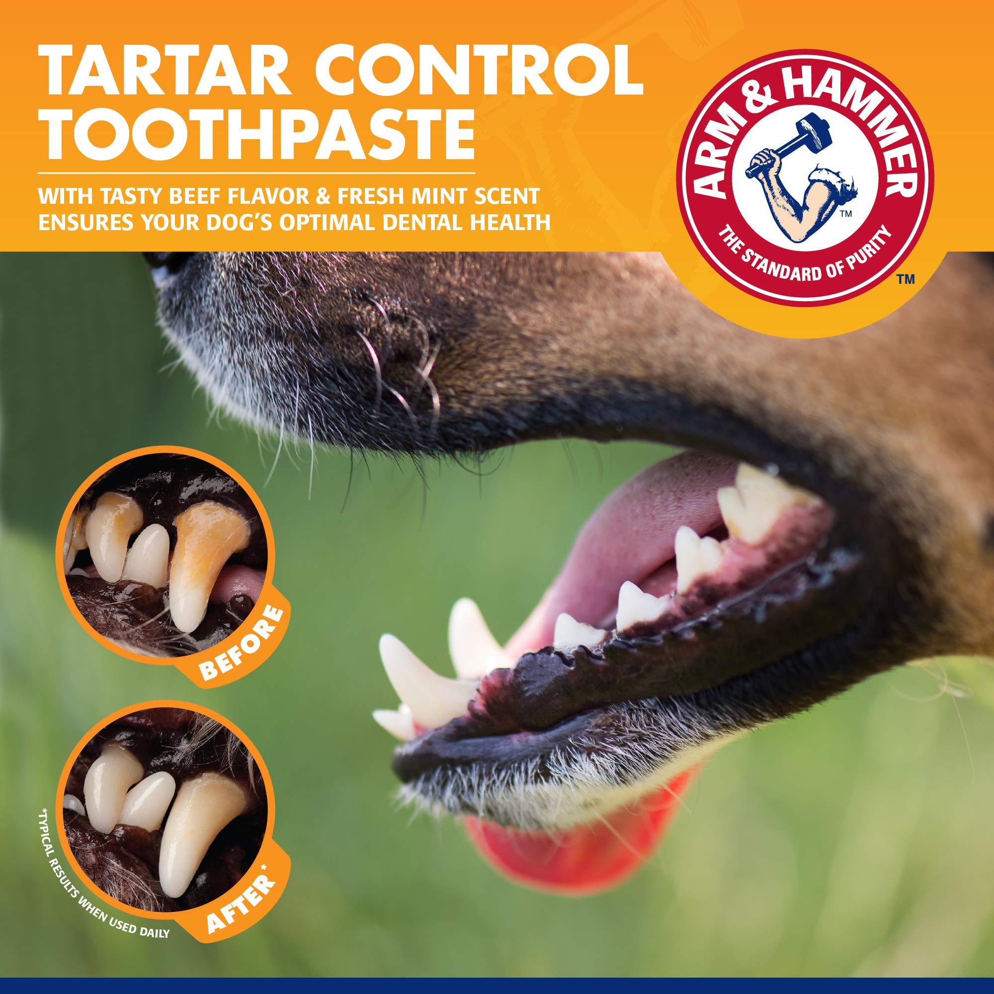 Formule sûre pour chiots Arm & Hammer, sans danger