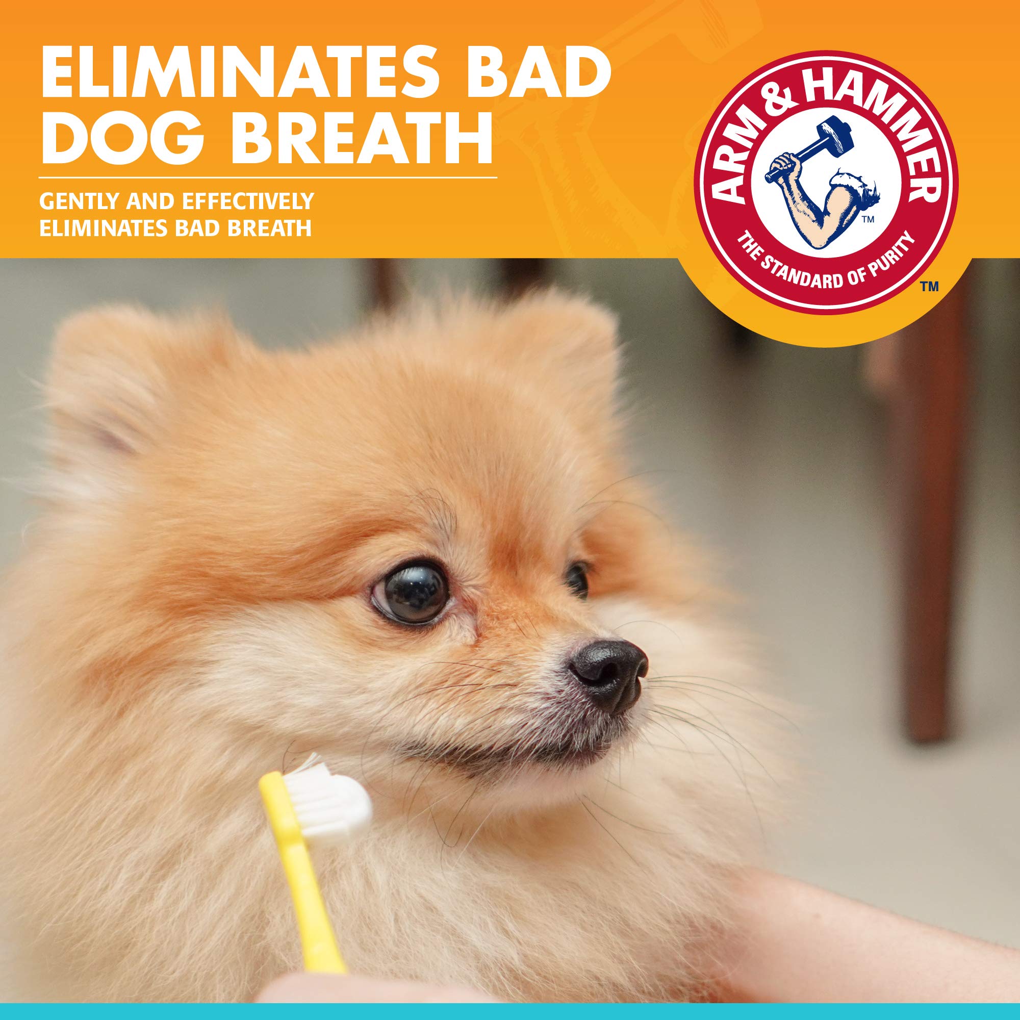 Tube de dentifrice Arm & Hammer poulet - routine dentaire simplifiée pour chiens.