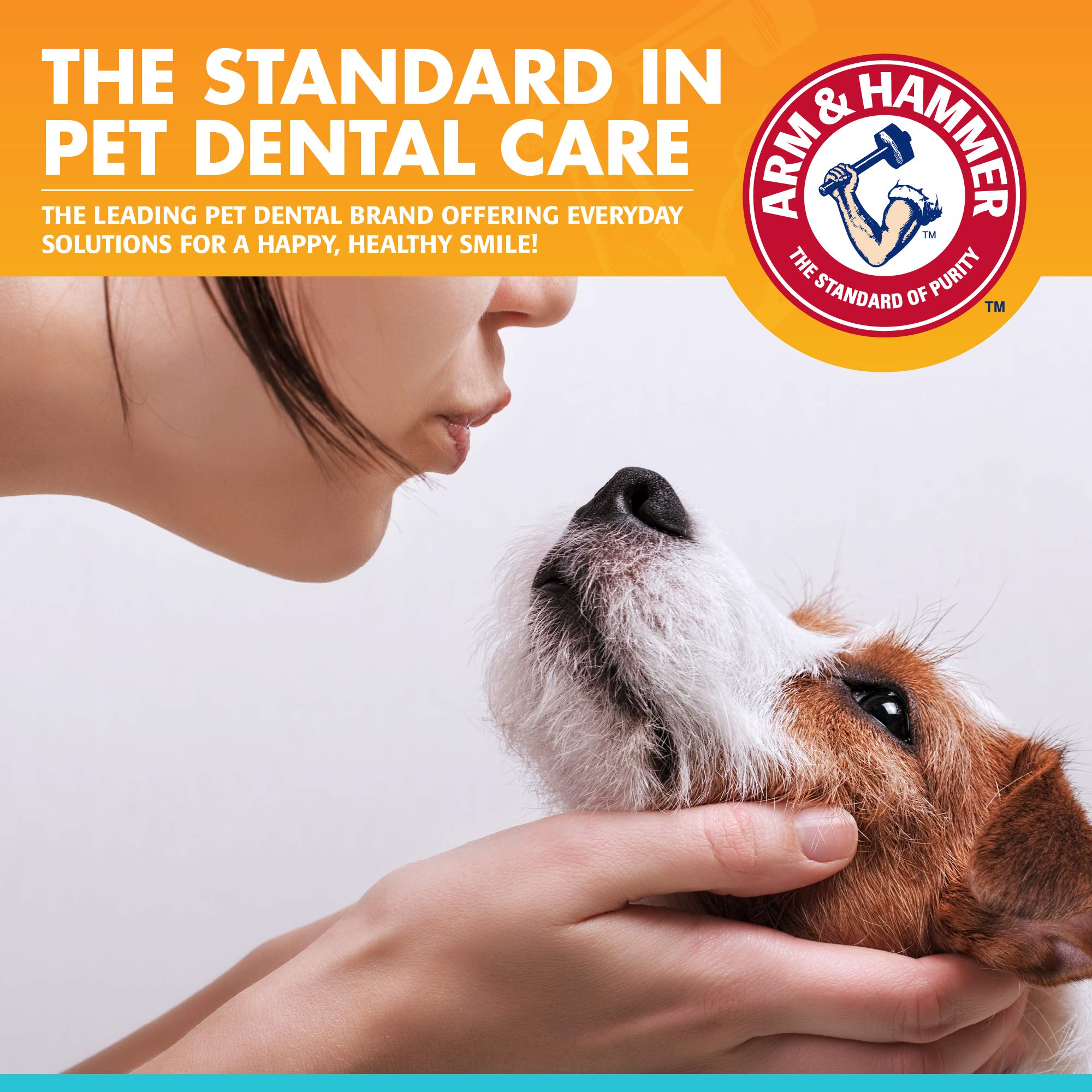 Dentifrice pour chiens Arm & Hammer poulet - soin bucco-dentaire à domicile.