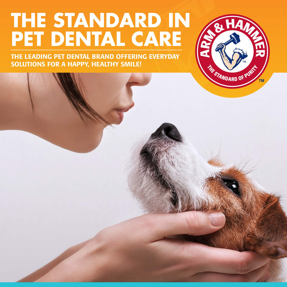 Dentifrice pour chiens Arm & Hammer poulet - soin bucco-dentaire à domicile.