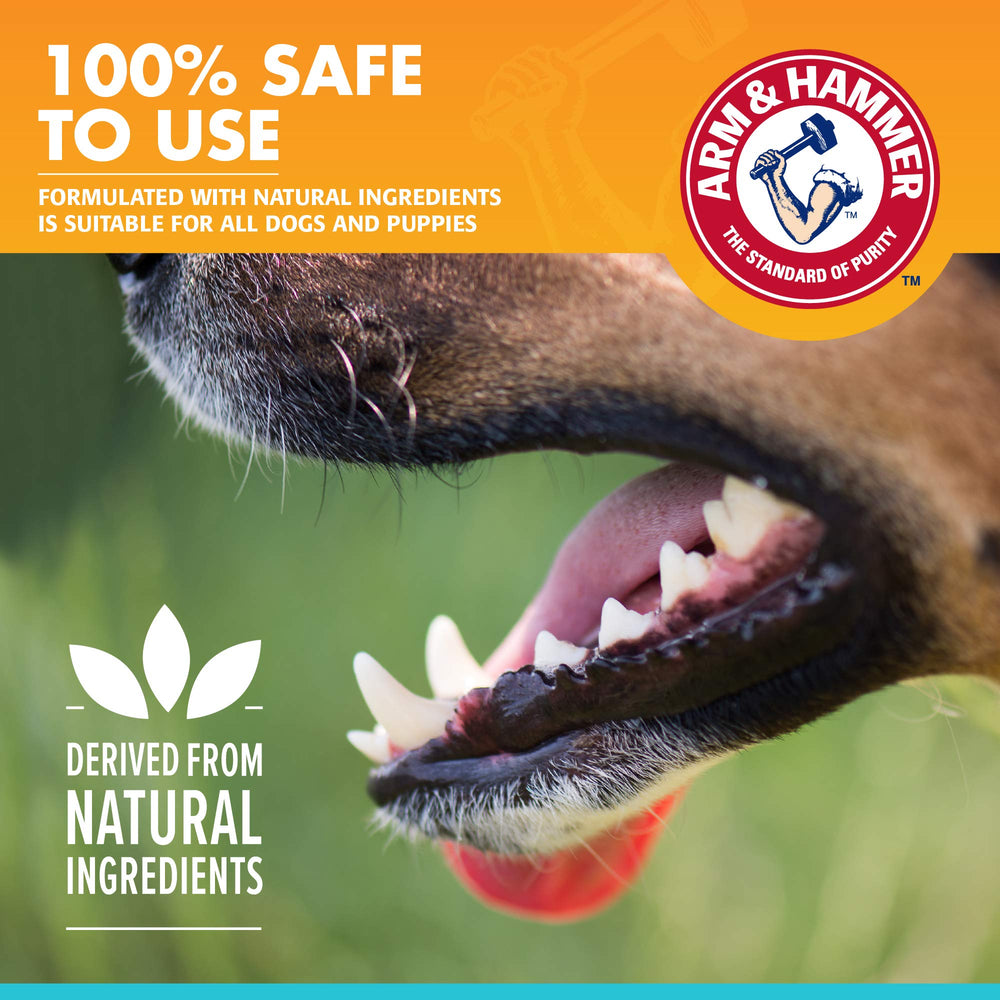 Générique dentifrice poulet Arm & Hammer chien - cible le tartre lors du brossage.