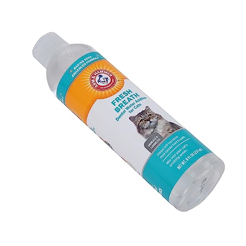 Chat près de la gamelle, capuchon doseur utilisé pour ajouter l’additif dentaire dans l’eau.