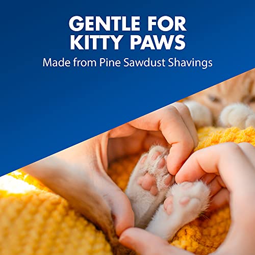 Confort pour les pattes du chat sur une litière naturelle.