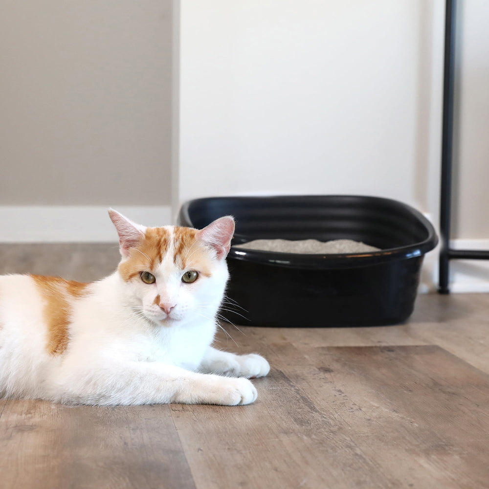 Arm & Hammer litière chat nettoyage rapide grâce à une surface antiadhésive facile d’entretien.