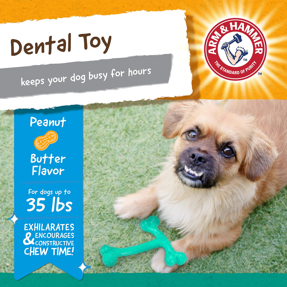 Jouet dentaire Arm & Hammer Nubbies T-Bone améliore le contact dents et gencives en sessions.