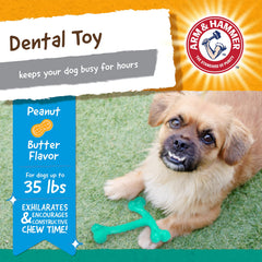 Jouet dentaire Arm & Hammer Nubbies T-Bone améliore le contact dents et gencives en sessions.
