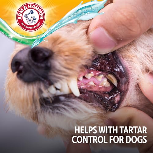 Arm & Hammer pâte dentaire chien cacahuète – goût appétent pour faciliter l’usage.