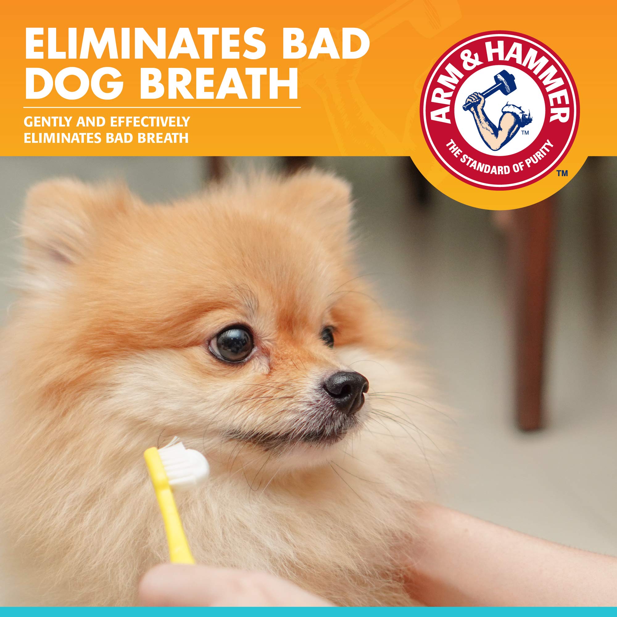 Arm & Hammer pour Animaux: brosse dent chien avec dentifrice enzymatique, routine quotidienne.