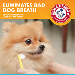 Arm & Hammer pour Animaux: brosse dent chien avec dentifrice enzymatique, routine quotidienne.