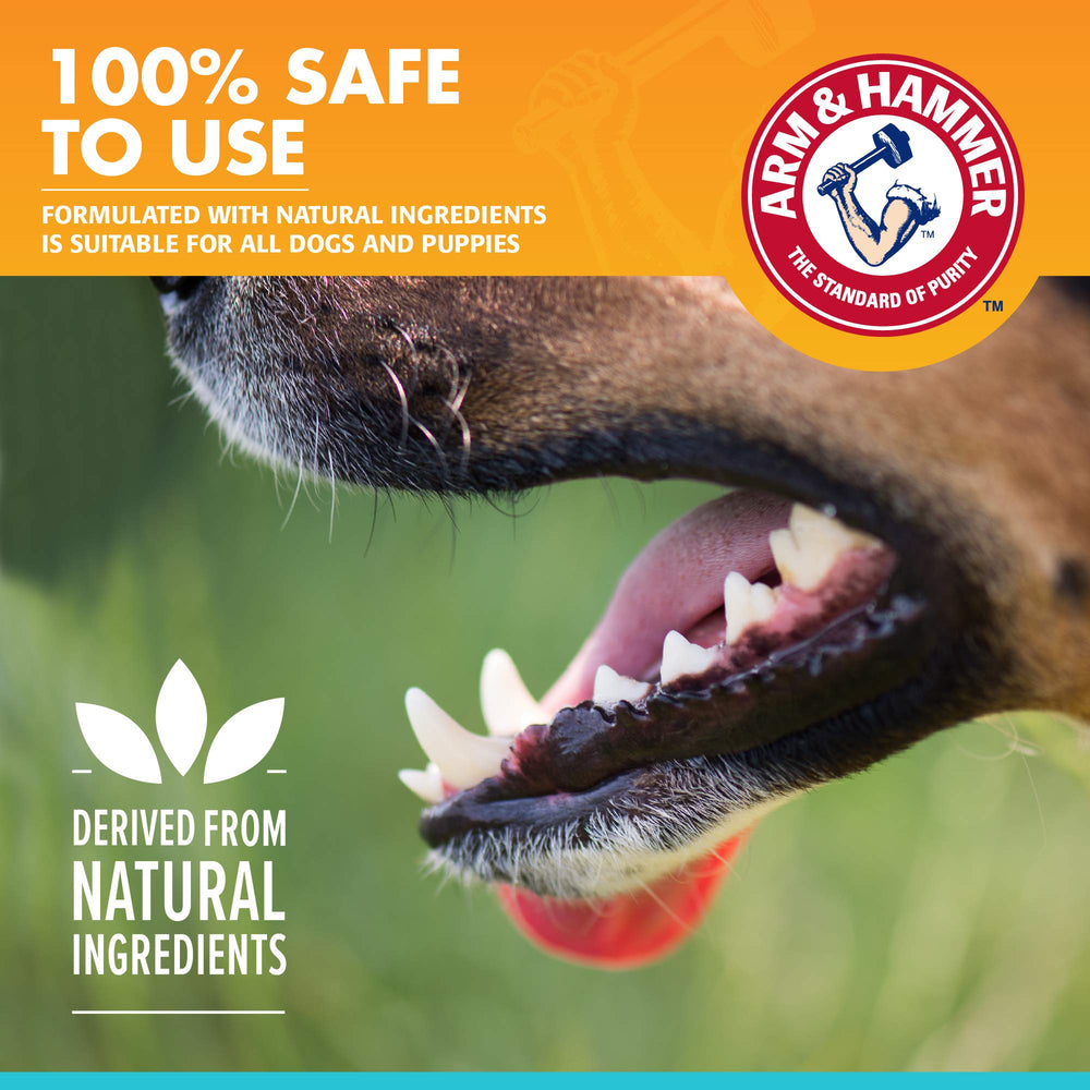 Arm & Hammer pour Animaux: chiot en brossage doux avec dentifrice enzymatique.