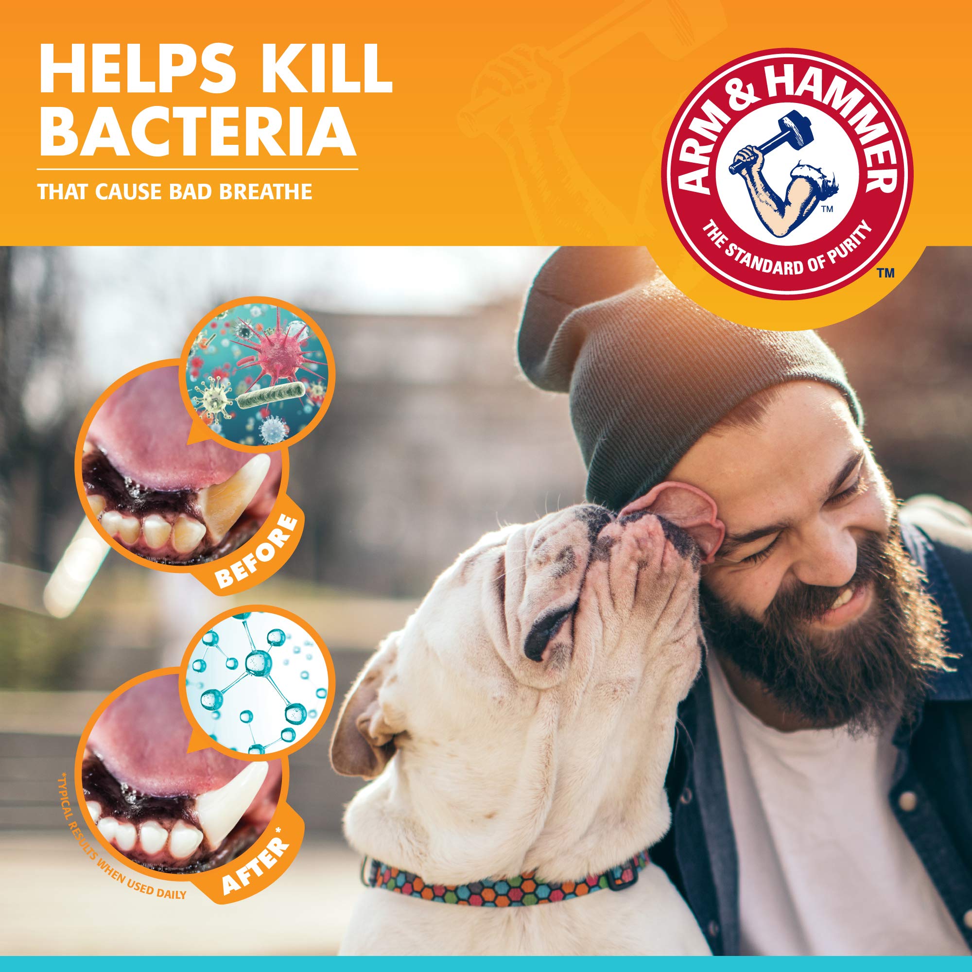 Arm & Hammer pour Animaux: tube dentifrice près de l’évier, rangement pratique.
