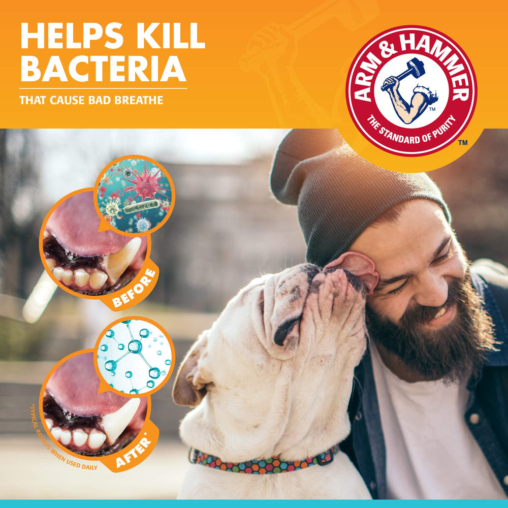 Arm & Hammer pour Animaux: tube dentifrice près de l’évier, rangement pratique.