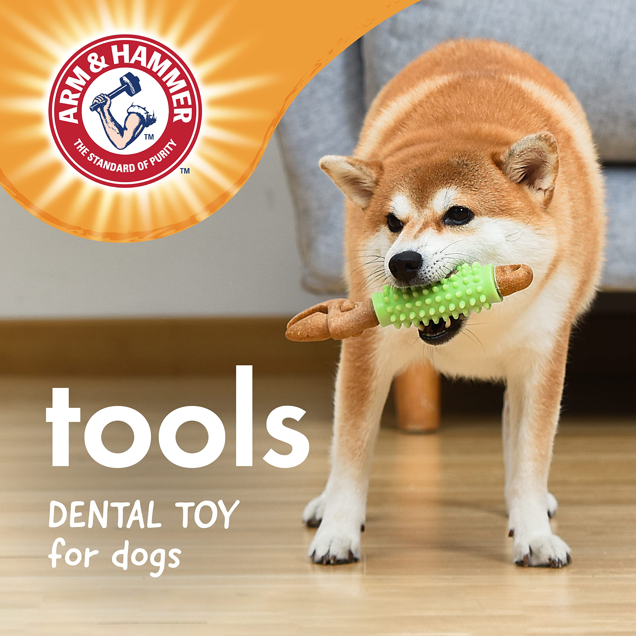 Arm & Hammer: bicarbonate de soude absorbe les odeurs pendant le jeu.