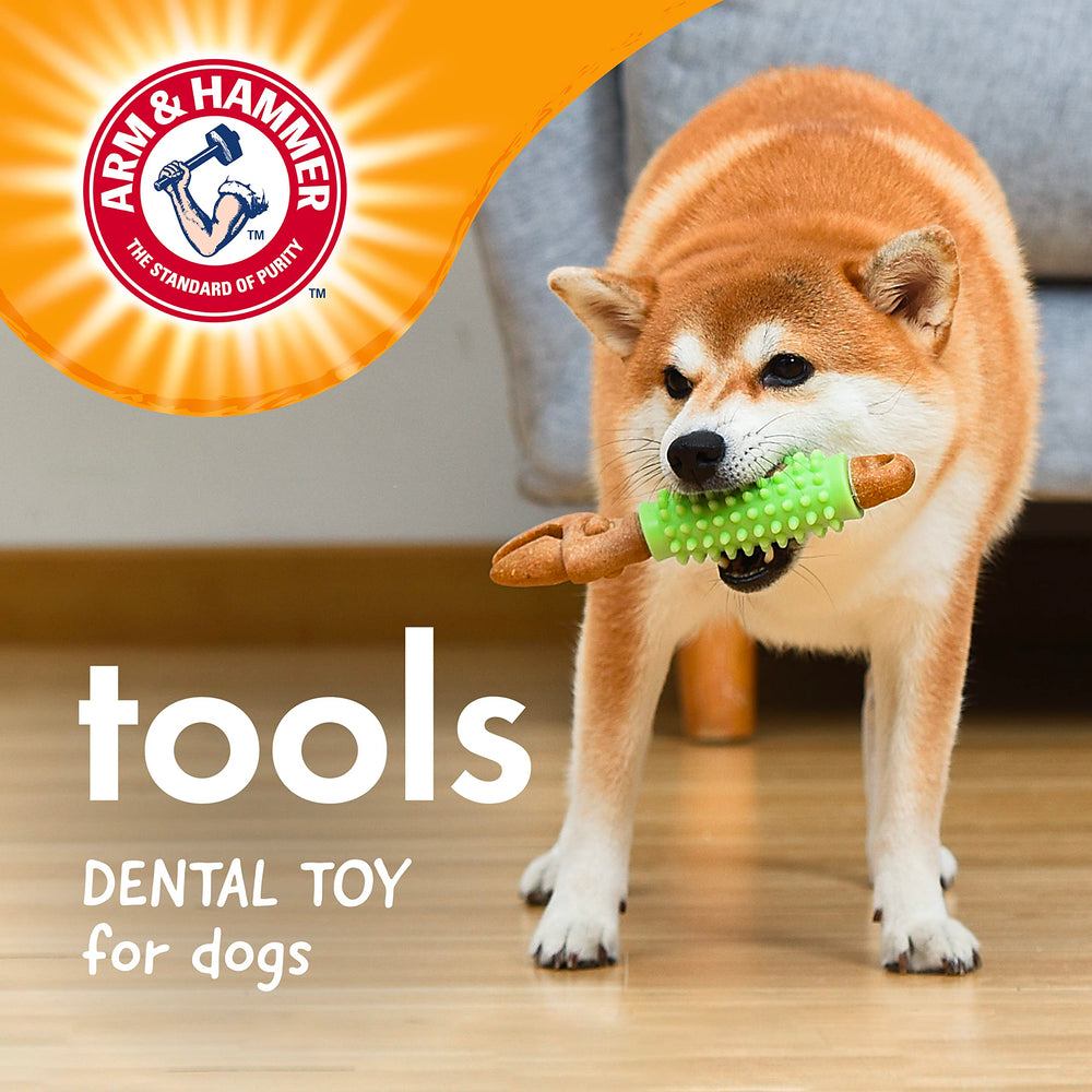 Arm & Hammer: bicarbonate de soude absorbe les odeurs pendant le jeu.