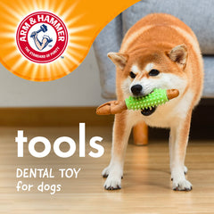 Arm & Hammer: bicarbonate de soude absorbe les odeurs pendant le jeu.