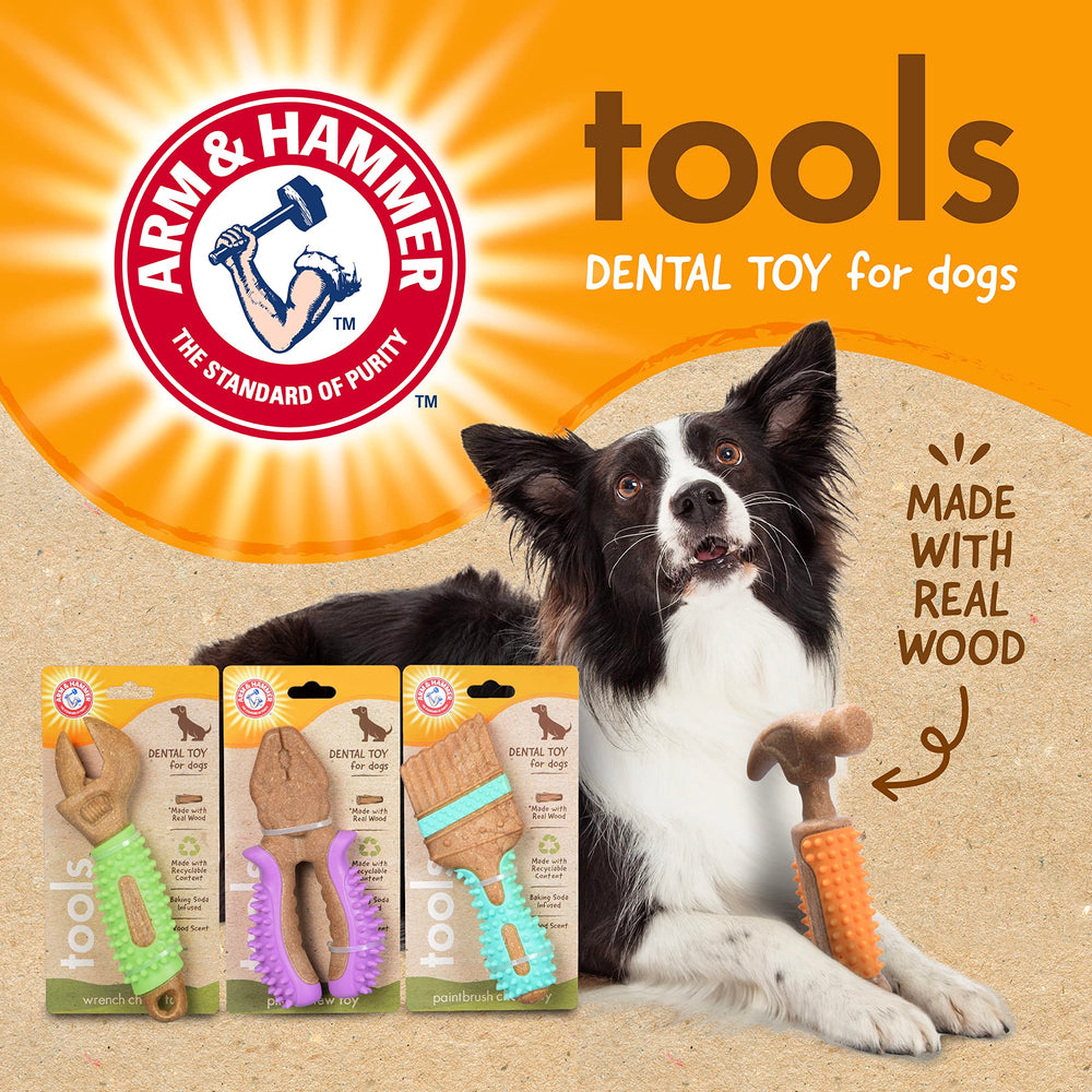 Arm & Hammer: solution dentaire ludique et sûre pour chiens.