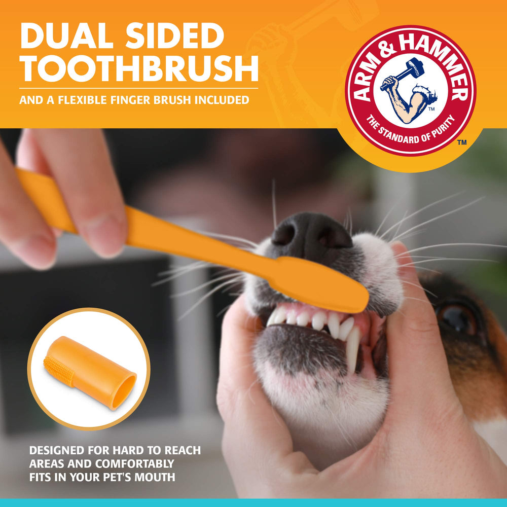 Arm & Hammer pour Pets – dentifrice enzymatique goût poulet pour chien