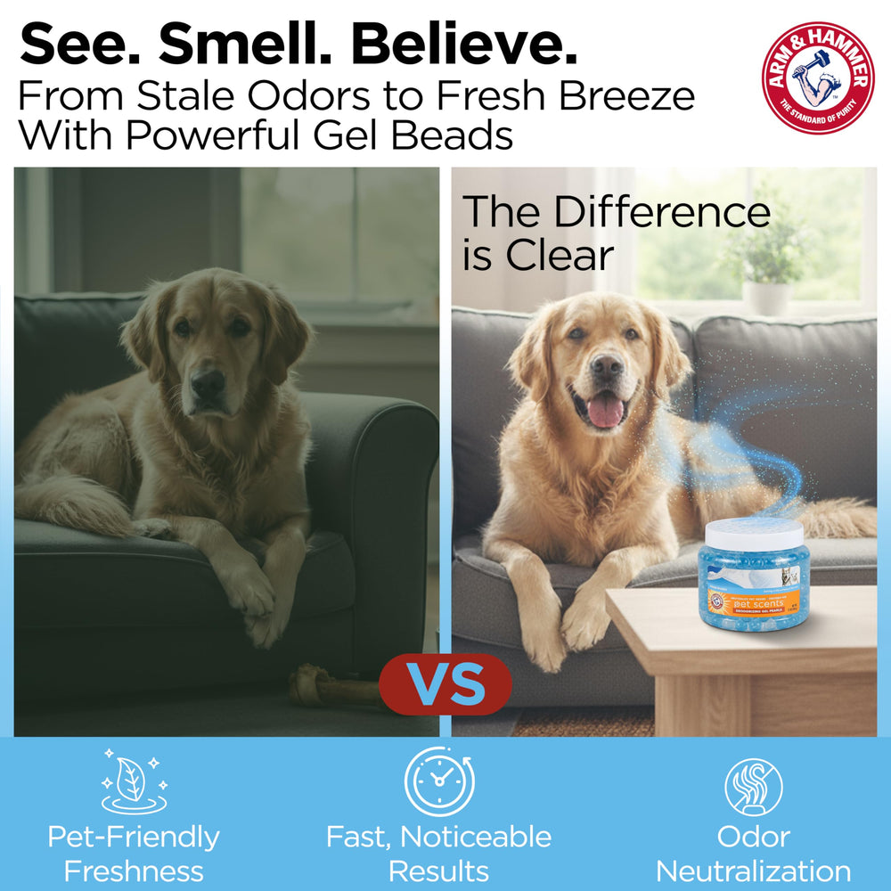 Arm & Hammer Pets Gel Beads, placement idéal dans les chambres des animaux.