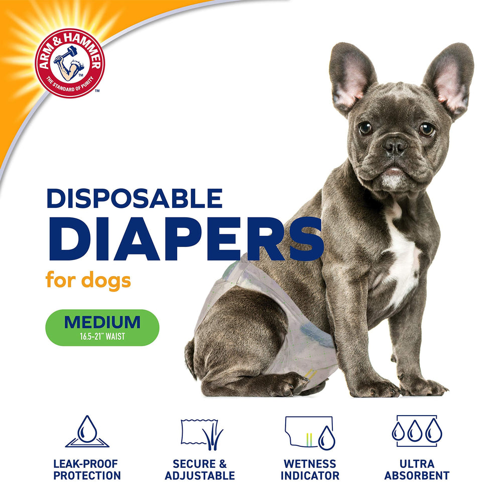 Arm & Hammer pour Animaux – contrôle d’odeur pour une maison plus fraîche.