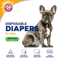 Arm & Hammer pour Animaux – contrôle d’odeur pour une maison plus fraîche.