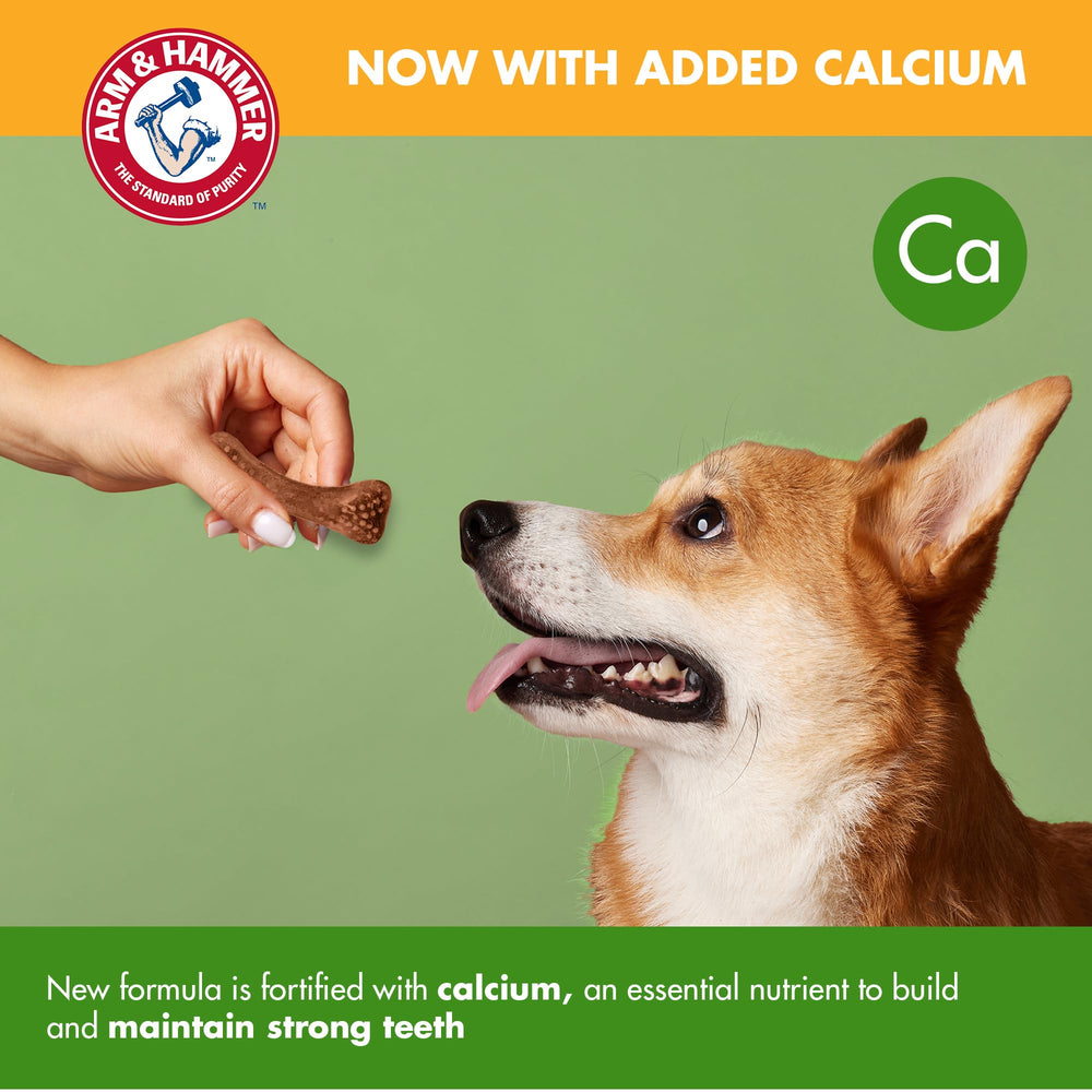 Arm & Hammer Nubbies – routine quotidienne simple après les repas.